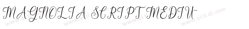 MAGNOLIA SCRIPTMEDIU字体转换